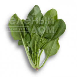Насіння шпинату Боа F1 / Boa F1 купити оптом і в роздріб в Україні за вигідною ціною