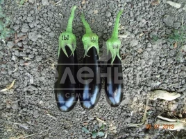 Семена баклажана Караефе F1 / Karaefe F1 купить оптом и в розницу в Украине по выгодной цене