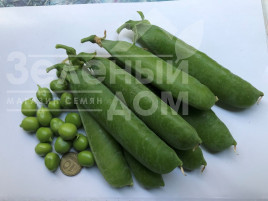 Насіння гороху Вондер / Vonder, 80-85 днів купити оптом і в роздріб в Україні за вигідною ціною