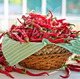 Насіння гіркого перцю Піноккіо F1 / Pinokkio F1 купити оптом і в роздріб в Україні за вигідною ціною