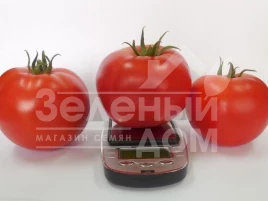 Семена томатов Акела F1 / Akela F1,60-65 дней купить оптом и в розницу в Украине по выгодной цене