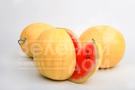 Семена арбуза Золотой Огонек F1 (LS 1820) / Zolotoy Ogonjok F1  (LS 1820), 58-62 дня купить оптом и в розницу в Украине по выгодной цене