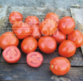 Насіння томатів Вулкан F1 / Vulcan F1,105-110 днів купити оптом і в роздріб в Україні за вигідною ціною