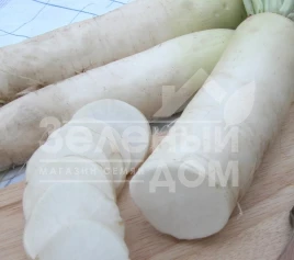 Семена редьки Алабастер F1 / Alabaster F1,75-85 дней купить оптом и в розницу в Украине по выгодной цене