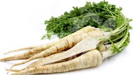 Семена петрушки Ядран / Jadran купить оптом и в розницу в Украине по выгодной цене