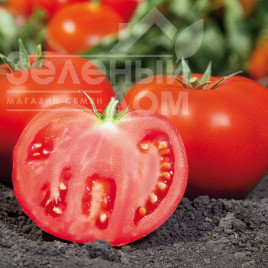 Насіння томатів Камі (КС 898) F1 / Kami (KS 898) F1,97-105 днів купити оптом і в роздріб в Україні за вигідною ціною