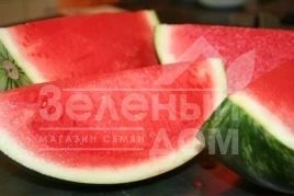 Семена арбуза Регус F1 / Regus F1 купить оптом и в розницу в Украине по выгодной цене