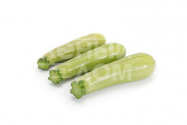 Насіння кабачків Манісес F1 / Manises F1 купити оптом і в роздріб в Україні за вигідною ціною