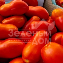 Семена томатов Рочча F1 / Roccia F1 купить оптом и в розницу в Украине по выгодной цене