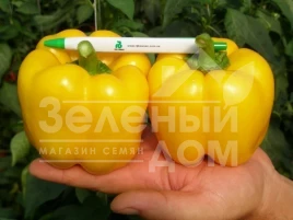 Семена сладкого перца Бачата F1 / Bachata F1,80-85 дней купить оптом и в розницу в Украине по выгодной цене