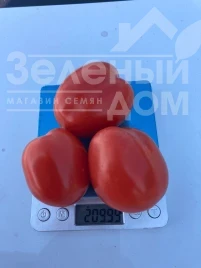 Насіння томату Енотріо F1 / Enotrio F1, 120 днів купити оптом і в роздріб в Україні за вигідною ціною