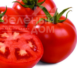 Насіння томатів Інтерленд F1 / Interland F1 купити оптом і в роздріб в Україні за вигідною ціною