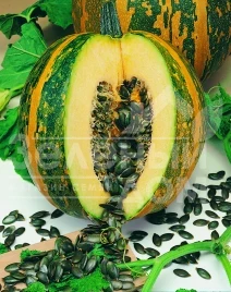 Семена тыквы Ольга / Olga купить оптом и в розницу в Украине по выгодной цене