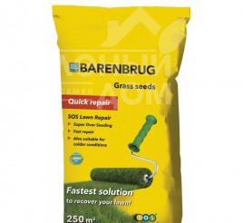 Насіння газонної трави Підсів / Quick repair купити оптом і в роздріб в Україні за вигідною ціною