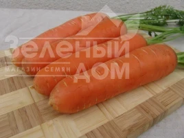 Насіння моркви Берліка F1 / Berlika F1, 105-110 днів купити оптом і в роздріб в Україні за вигідною ціною