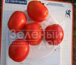 Семена томатов Реди F1 / Redi F1,70 дней купить оптом и в розницу в Украине по выгодной цене