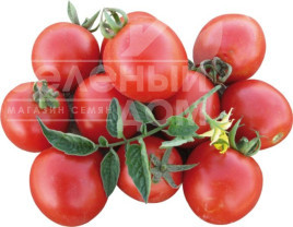 Насіння томатів Боцман F1 / Bocman F1,90-95 днів купити оптом і в роздріб в Україні за вигідною ціною
