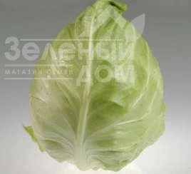 Семена капусты белокочанной Кейп Хорн F1 / Keyp Horn F1, 55-65 дней купить оптом и в розницу в Украине по выгодной цене