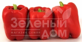 Семена сладкого перца ЛС 13110 F1 / LS 13110 F1,80-85 дней купить оптом и в розницу в Украине по выгодной цене