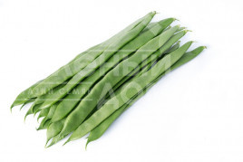 Насіння спаржевої квасолі Файза / Faiza купити оптом і в роздріб в Україні за вигідною ціною