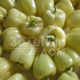 Семена сладкого перца Гелби F1 / Gelby F1,70-80 дней купить оптом и в розницу в Украине по выгодной цене