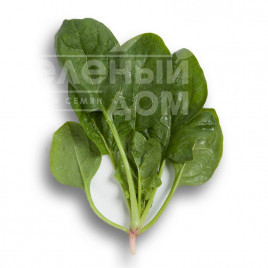 Насіння шпинату Вудпекер F1 / Woodpecker F1 купити оптом і в роздріб в Україні за вигідною ціною