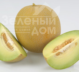 Насіння дині Екселор F1 / Ekselor F1, 65-70 днів купити оптом і в роздріб в Україні за вигідною ціною