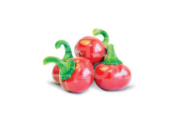 Насіння гіркого перцю Глобал F1 / Global F1 купити оптом і в роздріб в Україні за вигідною ціною