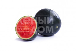 Насіння кавуна Конгуїта F1 / Conguita F1, 62-65 днів купити оптом і в роздріб в Україні за вигідною ціною