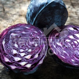 Семена капусты краснокочанной Розера F1 / Rozera F1,120-125 дней купить оптом и в розницу в Украине по выгодной цене