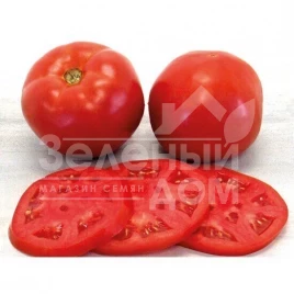 Семена томатов Луанова F1 / Luanova F1,105-110 дней купить оптом и в розницу в Украине по выгодной цене