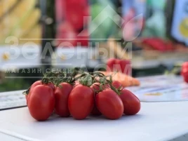 Семена томатов Пьетра Росса F1 / Petra Rossa F1,115 дней купить оптом и в розницу в Украине по выгодной цене