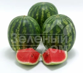 Семена арбуза Криспид F1 / Crispeed F1,56-62 дня купить оптом и в розницу в Украине по выгодной цене