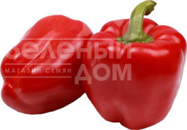Насіння солодкого перцю Рубіка F1 / Rubika F1,70-80 днів купити оптом і в роздріб в Україні за вигідною ціною