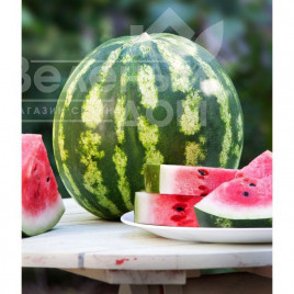 Насіння кавуна Кримсон Світ / Crimson Sweet (GRIFFATON) купити оптом і в роздріб в Україні за вигідною ціною