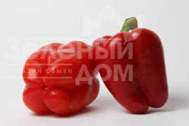 Насіння солодкого перцю Актеон / Akteon, 65-75 днів купити оптом і в роздріб в Україні за вигідною ціною