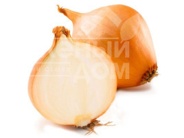 Цибуля ріпчаста Парадіз F1 / Paradise F1,110 днів купити оптом і в роздріб в Україні за вигідною ціною