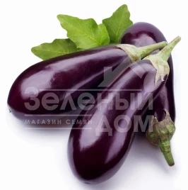 Семена баклажана КС 5070 F1 / KS 5070 F1 купить оптом и в розницу в Украине по выгодной цене