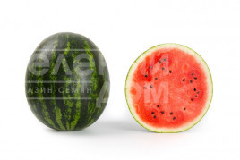 Насіння кавуна Керрол F1 / Сarroll F1,58-62 дні купити оптом і в роздріб в Україні за вигідною ціною