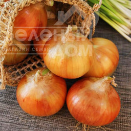 Цибуля ріпчаста Халцедон / Chalcedony купити оптом і в роздріб в Україні за вигідною ціною