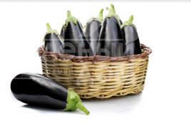 Насіння баклажанів Візир F1 / Vizir F1,70-75 днів купити оптом і в роздріб в Україні за вигідною ціною