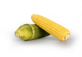 Насіння кукурудзи Макарон F1 / Macarone F1, 77-81 день купити оптом і в роздріб в Україні за вигідною ціною