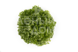 Насіння салату Експонент / Exponent купити оптом і в роздріб в Україні за вигідною ціною