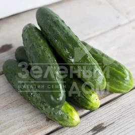 Семена огурцов Ловели F1 / Lovely F1,37 дней купить оптом и в розницу в Украине по выгодной цене