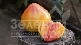 Семена томатов Мадрид F1 / Madrid F1 купить оптом и в розницу в Украине по выгодной цене