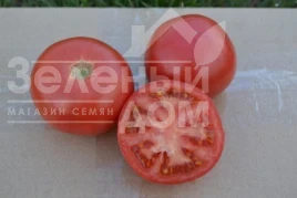 Насіння томату 1810 F1 / 1810 F1, 95 днів купити оптом і в роздріб в Україні за вигідною ціною