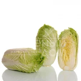 Семена капусты пекинской Кисеки F1 / Kiseki F1, 65-75 дней купить оптом и в розницу в Украине по выгодной цене