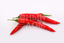 Насіння гіркого перцю Кампече F1 / Kampeche F1,75-80 днів купити оптом і в роздріб в Україні за вигідною ціною