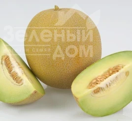 Семена дыни Экселор F1 / Ekselor F1, 65-70 дней купить оптом и в розницу в Украине по выгодной цене