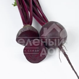 Семена свеклы Ред Хавк F1 / Red Havk F1,95-100 дней купить оптом и в розницу в Украине по выгодной цене